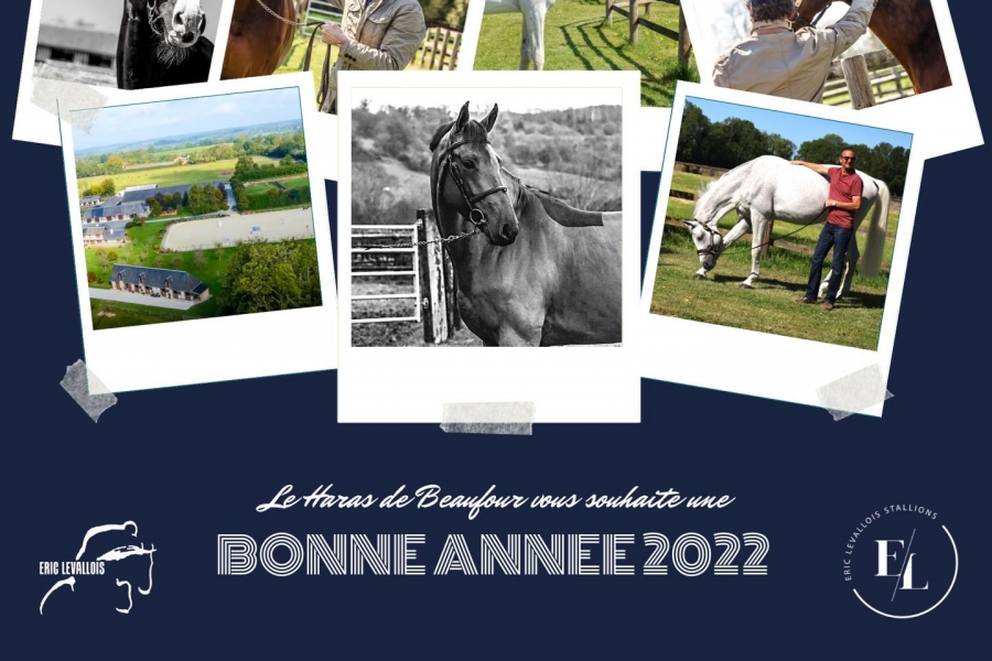 BONNE ANNEE 2022!