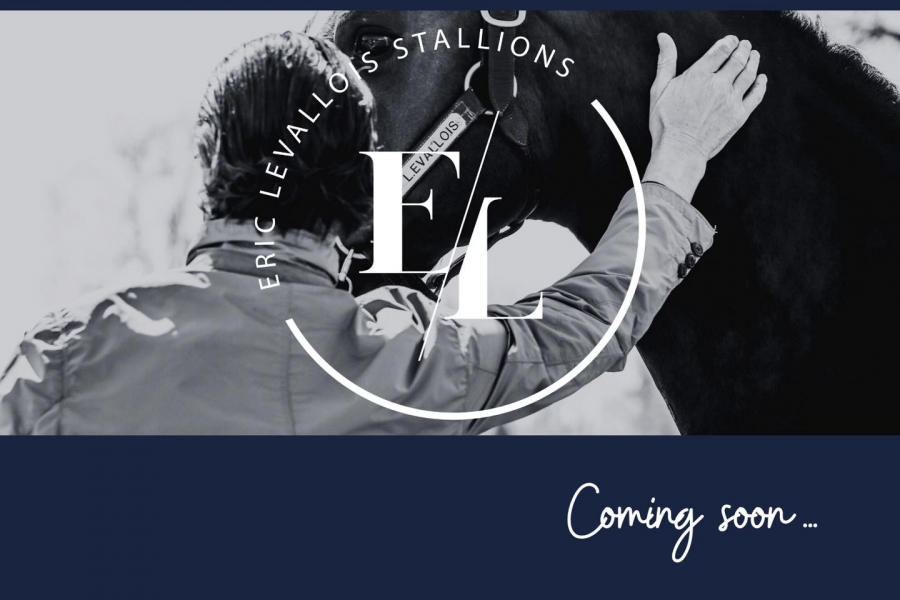 Le catalogue 2022 bientôt disponible