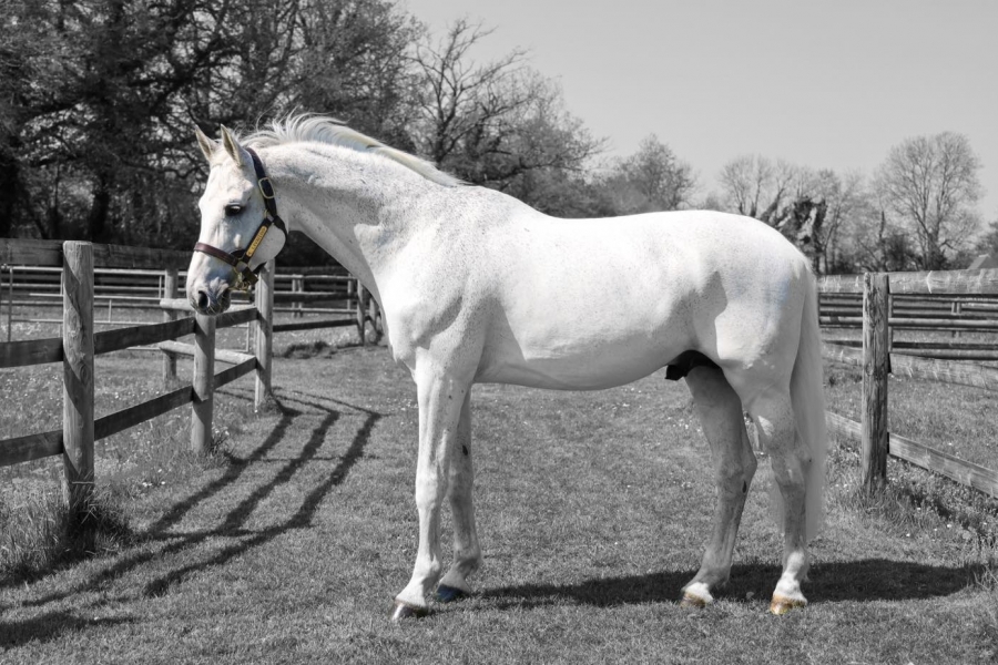 La fin de saison approche !