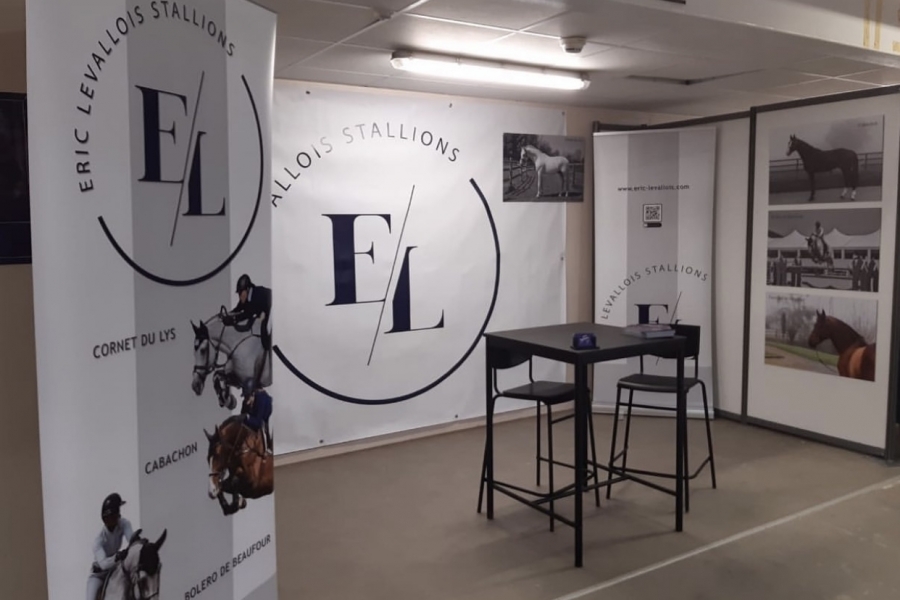 Salon des Étalons